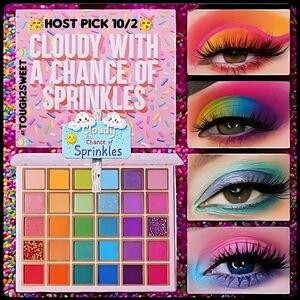 🆕LAST 1🎊30 COLOR "CLOUDY WITH A CHANCE OF SPRINKLES" HIGH COLOR SHADOW PALETTE